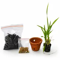 Beginner's Oncidium Orchid Combo Kit
