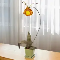 Psychopsis Orchid Mendenhall ‘Hildos’ FCC/AOS (Psychopsis Butterfly x Pyp. Papilio) — 2.5"