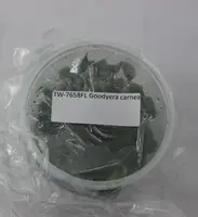 FLASK Goodyera carnea JEWEL ORCHID