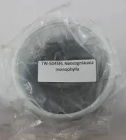 FLASK Neocogniauxia monophylla