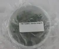 FLASK Vanda insignis