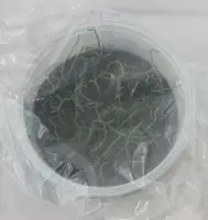 FLASK Microcoelia aphylla