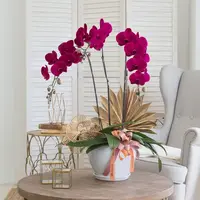 Jodie Purple Phalaenopsis Orchid (3 stalks) — Johor