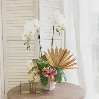 Jodie Pure White Phalaenopsis Orchid (2 stalks) — Negeri Sembilan