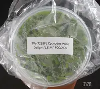 FLASK Cycnodes Wine Delight 'J.E.M.' FCC/AOS