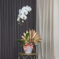Jodie Pure White Phalaenopsis Orchid (1 stalk) — Negeri Sembilan