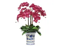 PHALAENOPSIS IN CHINA POT #9333.FU00