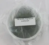 FLASK Angraecum scottianum