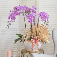 Jodie Pink Phalaenopsis Orchid (5 stalks) — Johor