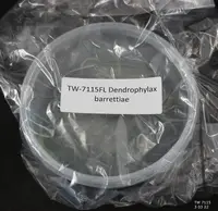 FLASK Dendrophylax barrettiae