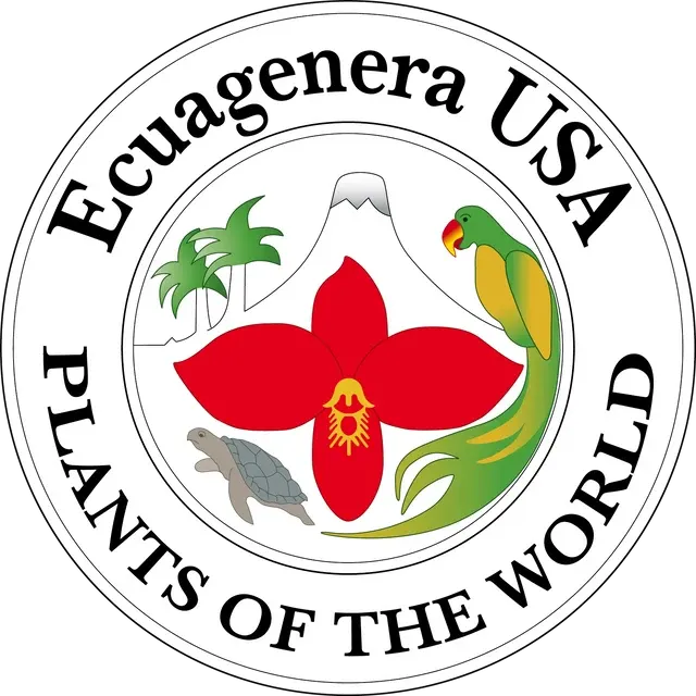 Isabelia violacea