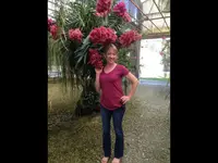 Goodwin Orchids Vandas are our Specialty! (352) 787-9001