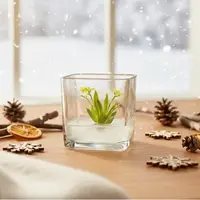 Orchid Bonsai, Psygmorchis Pusilla, Open Pot Design, Beautiful Glass Votive