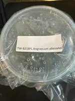 FLASK Angraecum alleizetei