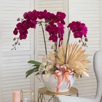 Jodie Purple Phalaenopsis Orchid (5 stalks) — Negeri Sembilan