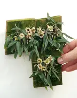 Dendrobium hekouense