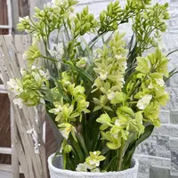 Cymbidium Orchid – White & Light Green Live Orchid Plant | 2 Feet Tall | Includes Nursery Pot Elegant Bi-Color Blooms | Long-Lasting Flowers | Indoor or Patio