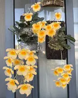 Dendrobium lindleyi