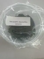 FLASK Staurochilus ionosma