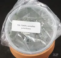 FLASK Jumellea jumelleana