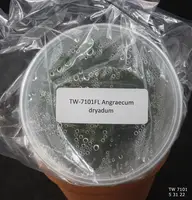 FLASK Angraecum dryadum