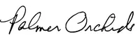 Oncidium — Palmer Orchids