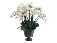 MINI PHALAENOPSIS ORCHID IN PLANTER #9519.WH00